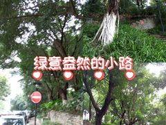 -龙头寺公园