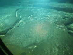 -白鹤梁水下博物馆