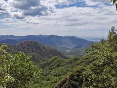 -大岭沟猕猴桃谷风景区