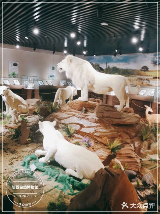 陕西自然博物馆图片