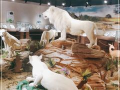 -陕西自然博物馆