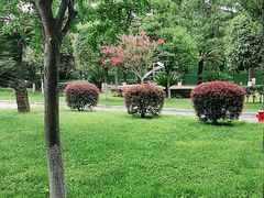 -四川大学(华西校区)