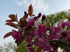 -元大都城垣遗址公园