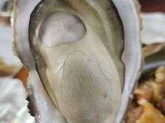 -崖口煲仔饭