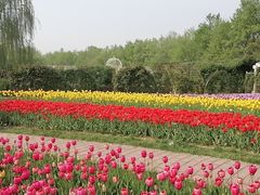-石家庄市植物园