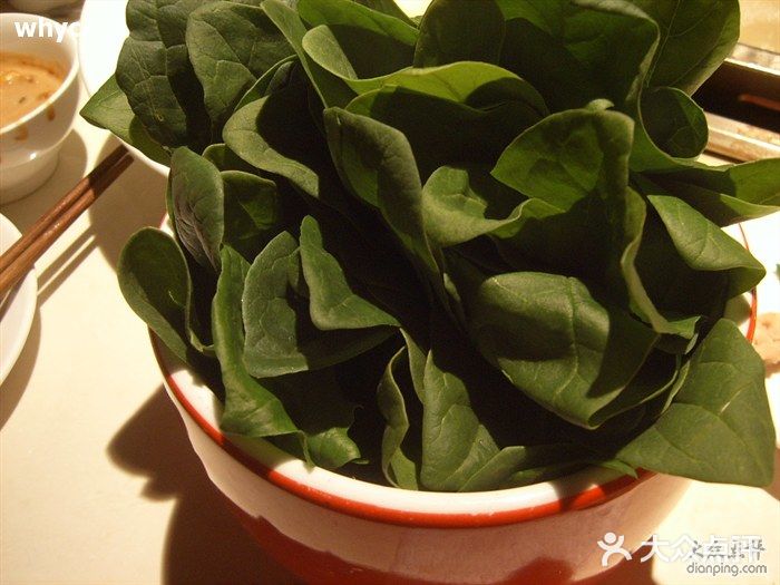 海底捞火锅(西单店)菠菜图片