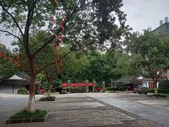景点-伯先公园