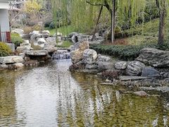 -西安国际创新人才交流中心•药浴温泉