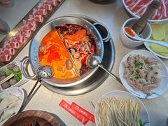 -小龙坎火锅(全球旗舰店)