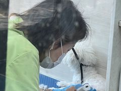 -芭比堂动物医院·心脏专科·夜诊·吉雅分院