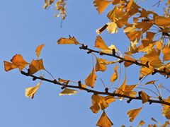 -共青国家森林公园-售票处