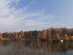 -塞罕坝国家级自然保护区