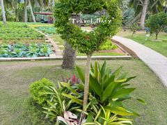 -石梅湾艾美度假酒店