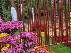 -上海共青森林公园