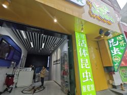 -神奇动物撸宠馆·羊驼·小浣熊·异宠(豫园店)