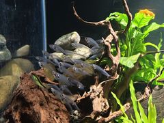 -太平洋海底世界