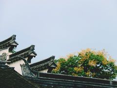 -黎里古镇