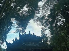 -青城山
