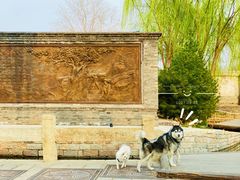 -三里河公园