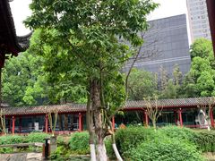 -龙潭水乡