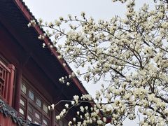 -堤角公园