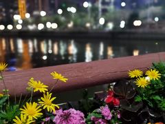 -海心沙亚运公园
