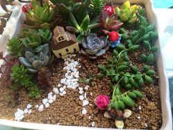 iphone_upload_pic-星美甲