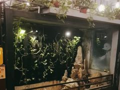 -甲大帅·甲鱼·椰子鸡主题餐厅(唐家店)