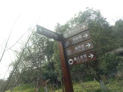 -常德桃花源景区