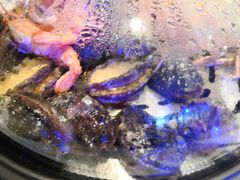 -半岛听涛蒸汽海鲜自助(K11店)
