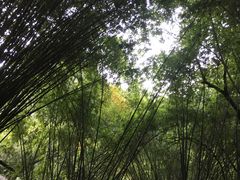 -英西峰林·洞天仙境