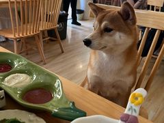 -柴の食堂·日式家庭料理·熊之肆(大学路店)