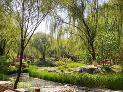 -燕郊植物园
