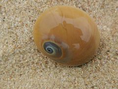 -东戴河风景区-止锚湾