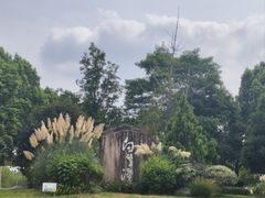 -白鹭湾湿地公园