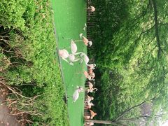 -上海野生动物园