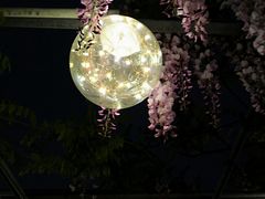 -嘉定紫藤园