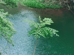 -永泰中国云顶