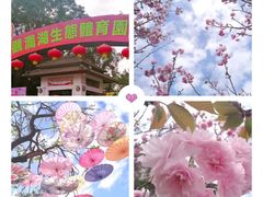 -光明小镇欢乐田园