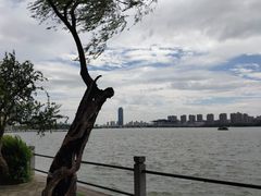 -无锡蠡湖国家湿地公园-蠡园