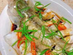 -天鹅到家·保姆月嫂育儿嫂(蔚蓝海岸店)