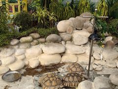 -南宫五洲植物乐园