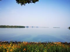 -漕湖湿地公园