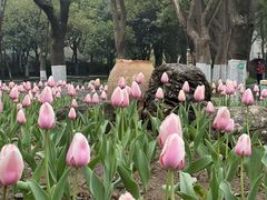 -圩墩遗址公园
