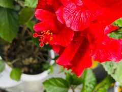 -平安桥天主教堂