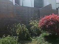 -永記粤菜·五指毛桃花雕鸡煲(九亭店)