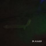想清凉，来这里