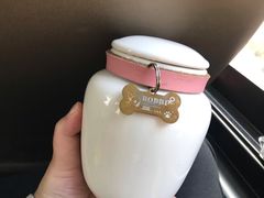 -彩虹桥宠物火化殡葬善终服务(金乐大厦店)