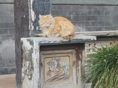 -大学习巷清真寺