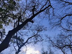-天台山景区
